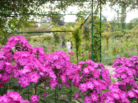 c0090198_391275.jpg