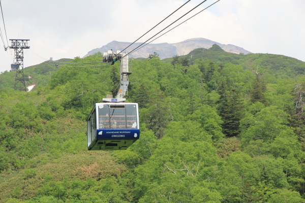 旭岳・天空の花畑へ！＠6/30＆7/1東神楽キャンプー1_d0117900_1763557.jpg