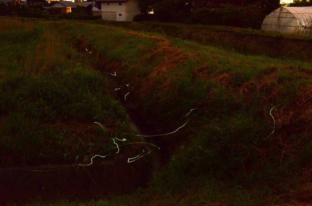 雨の十福の湯　7.1～発地の蛍　7.2_b0228502_155135.jpg