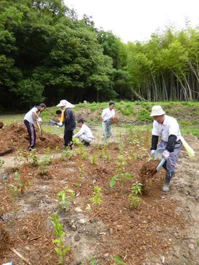 菅生会の植樹_b0186205_1638779.jpg