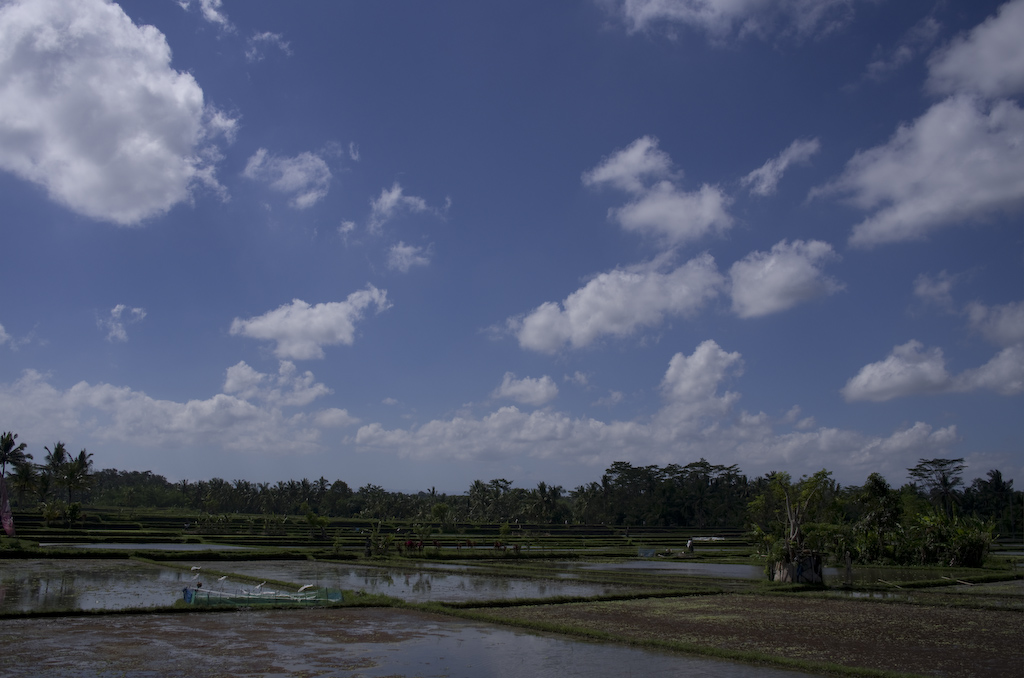 Bali_d0088207_0405442.jpg