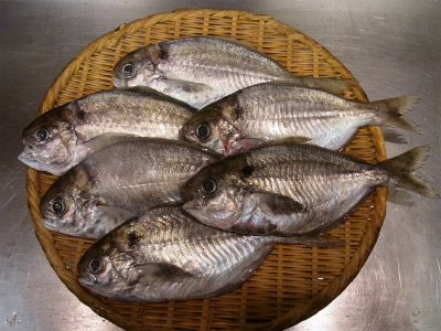 えぼだい_f0157910_13354997.jpg