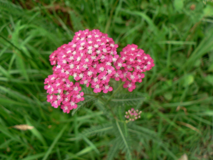 f0219710_7384920.jpg