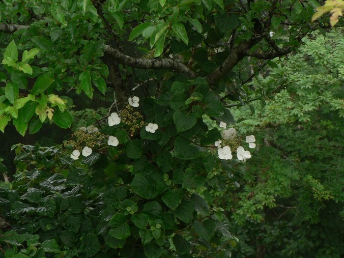 f0219710_8185029.jpg