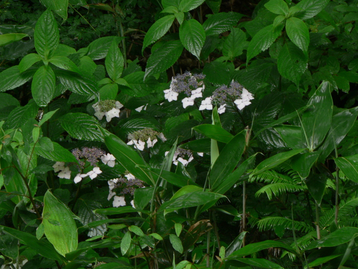 f0219710_8292095.jpg