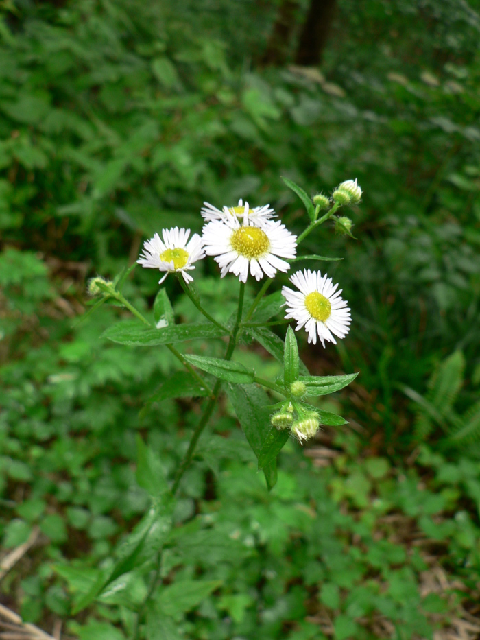 f0219710_8322742.jpg