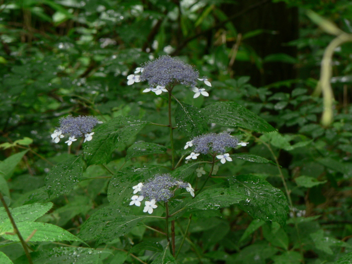 f0219710_8342320.jpg