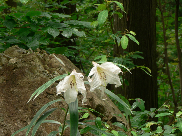 f0219710_83544100.jpg