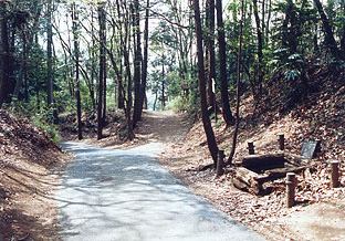 c0193512_217534.jpg