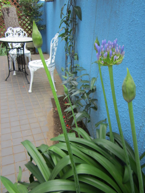 d0070113_17213424.jpg