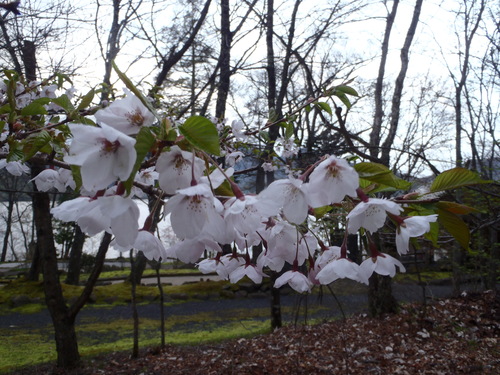 2012 中禅寺湖釣行！　総集編_a0236914_17545156.jpg