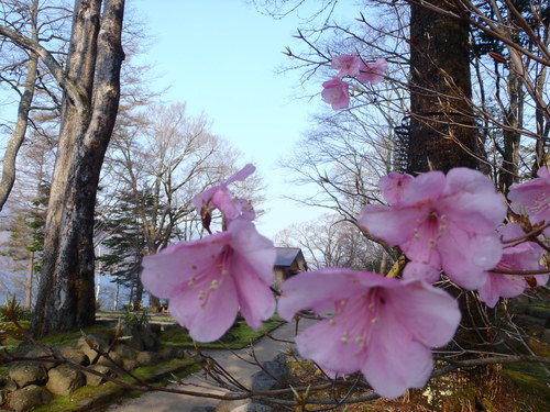 2012 中禅寺湖釣行！　総集編_a0236914_17562282.jpg