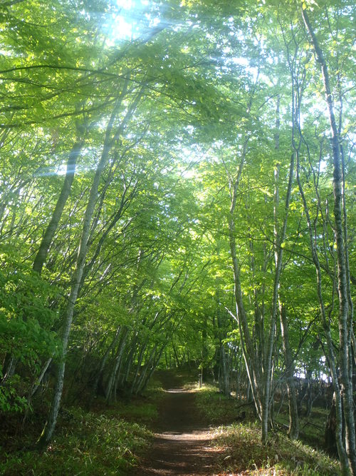 2012 中禅寺湖釣行！　総集編_a0236914_17563584.jpg