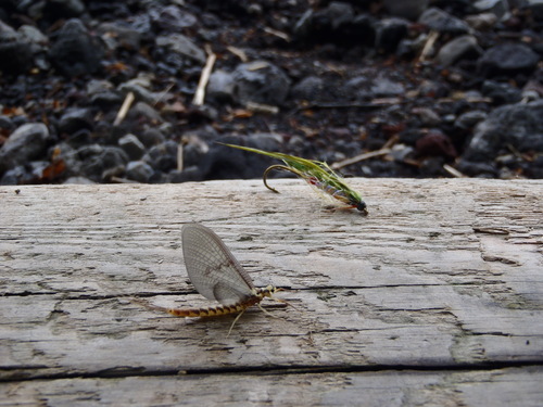 2012 中禅寺湖釣行！　総集編_a0236914_17573779.jpg