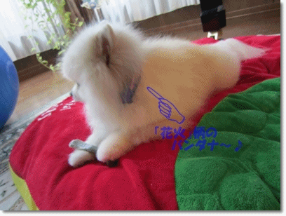 b0167519_20421898.gif