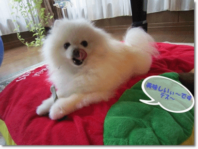 b0167519_204268.gif