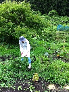 c0060919_2146321.jpg