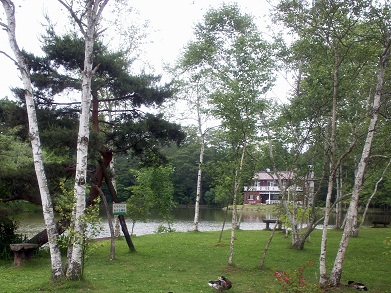 a0053420_1505086.jpg