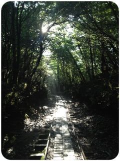 c0177527_8234828.jpg