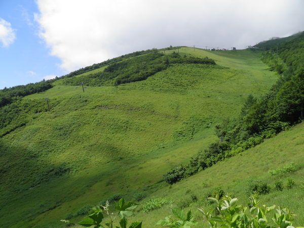 c0225927_11554766.jpg