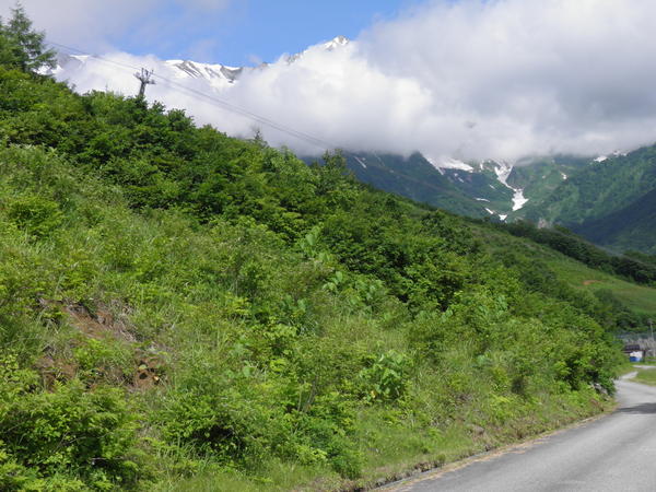 c0225927_1213643.jpg
