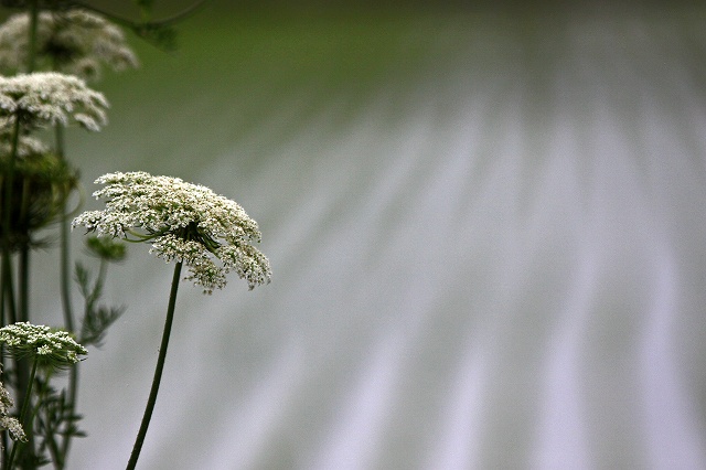 a0242438_21512356.jpg