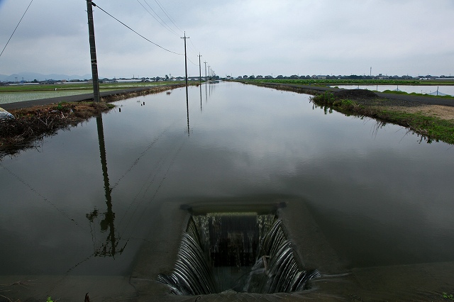a0242438_2154161.jpg