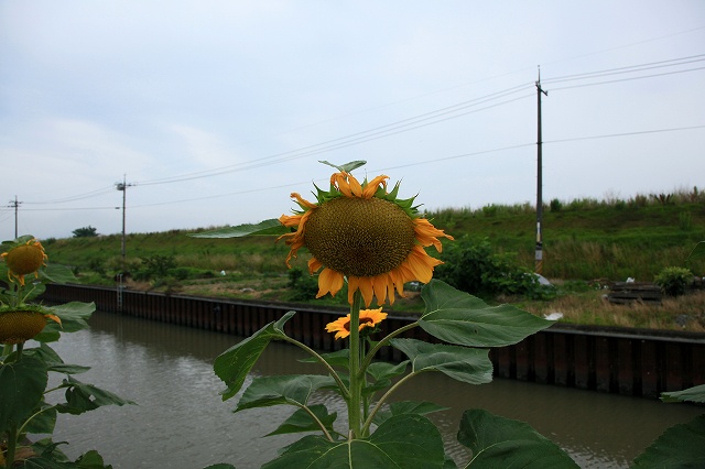 a0242438_2154936.jpg