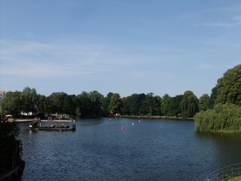 f0210340_4265992.jpg