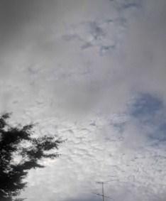 b0028845_232236.jpg