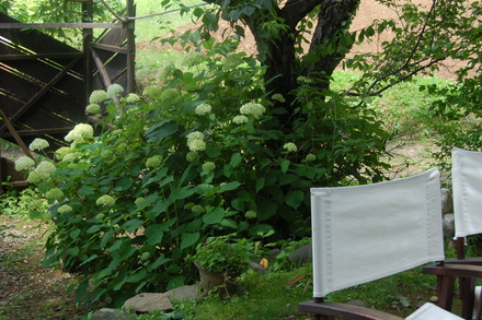 夏の風景_d0249047_1253974.jpg