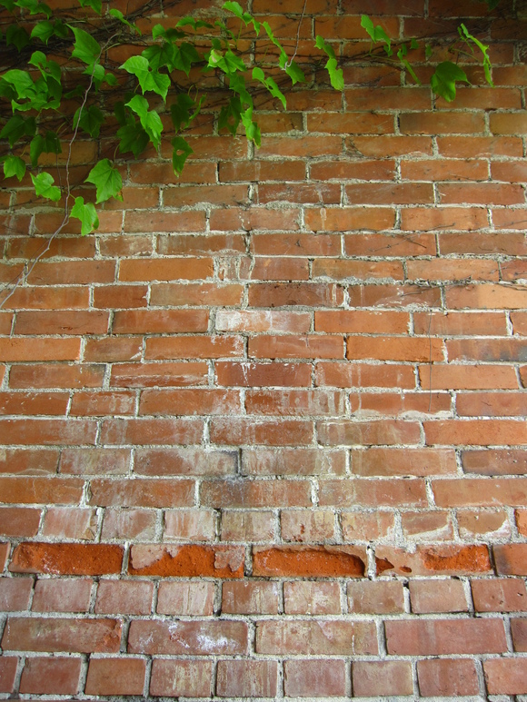 d0220551_0573844.jpg