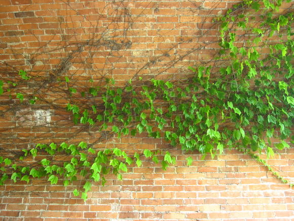 d0220551_1431333.jpg