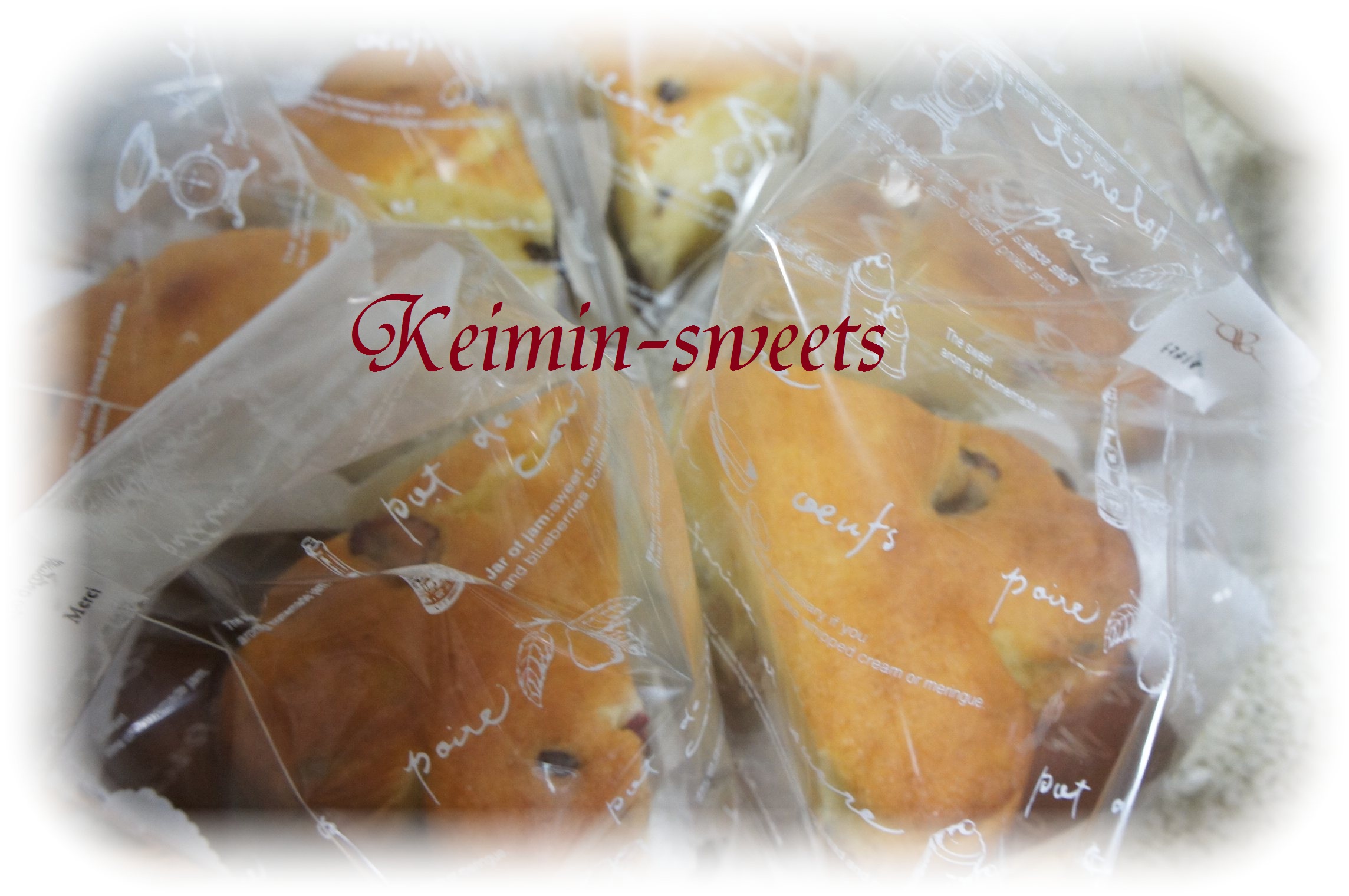 瀬谷の魅力発見!スタンプラリーマップ_c0169360_15252582.jpg
