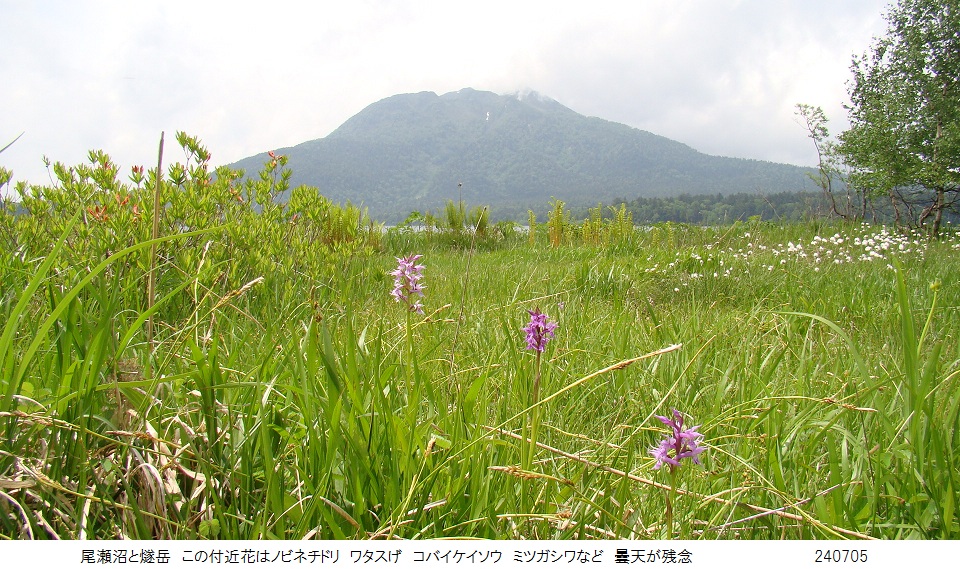 三平峠越えで尾瀬沼一周_b0054362_20292812.jpg