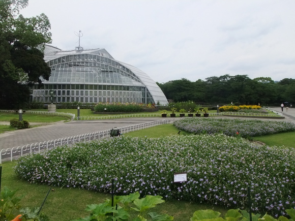 ３０年以上ぶり府立植物園_f0144970_764580.jpg