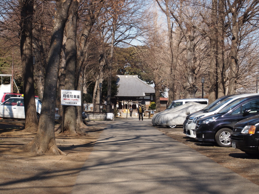 平塚神社 (北区上中里1丁目)_e0163471_18501858.jpg