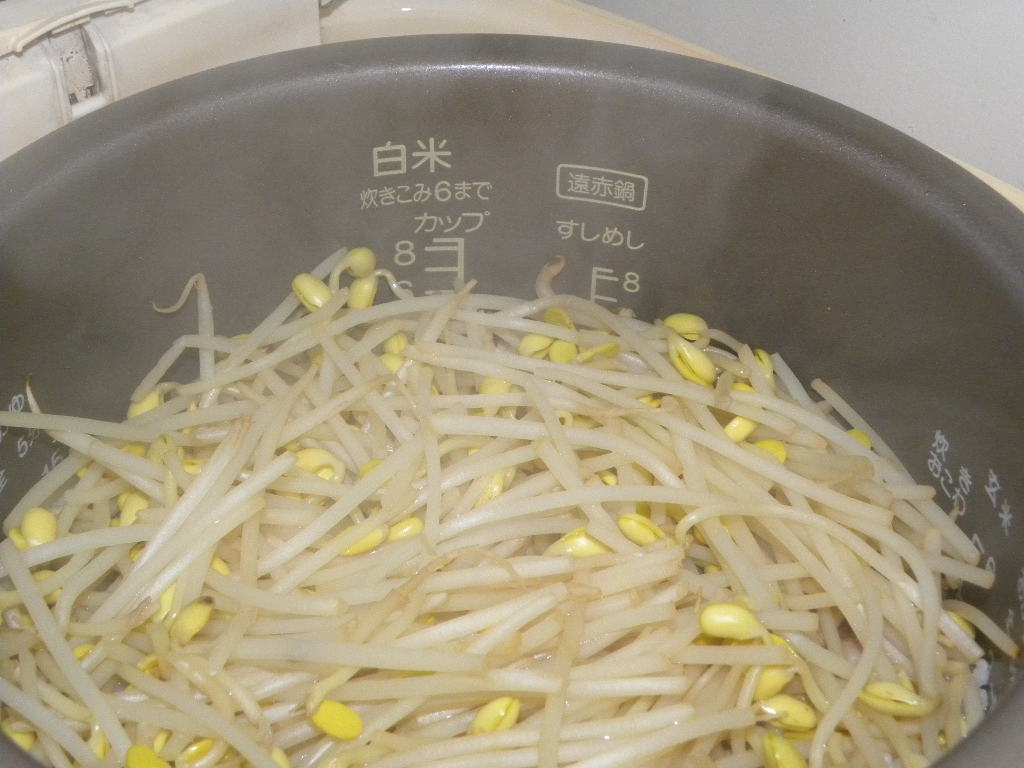 豆もやしご飯定食_c0162773_20295398.jpg