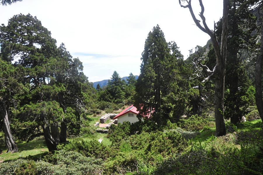 f0220774_17295775.jpg