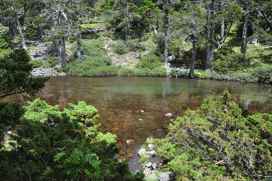 f0220774_17302666.jpg