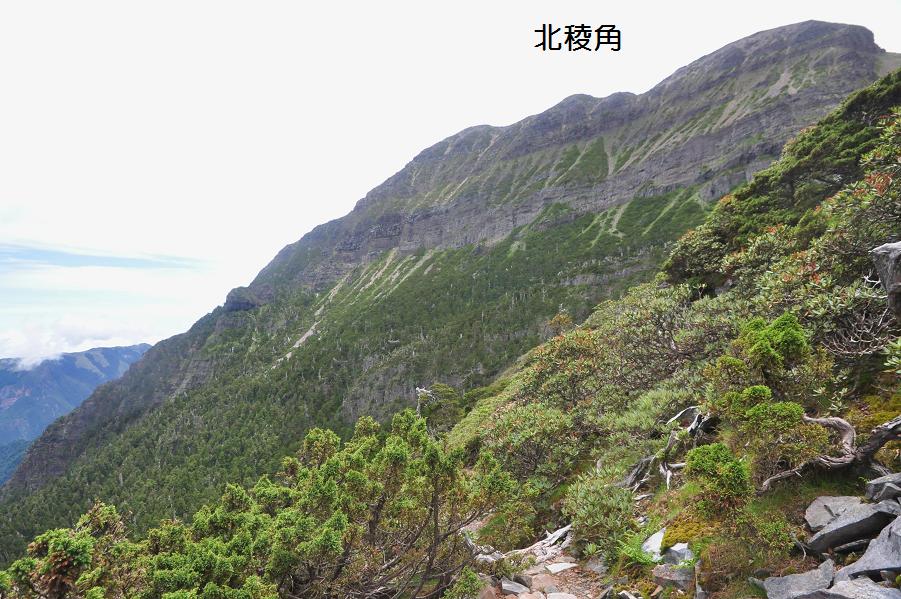 f0220774_17321178.jpg