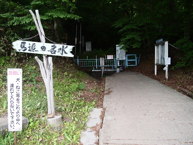 a0242984_002557.jpg