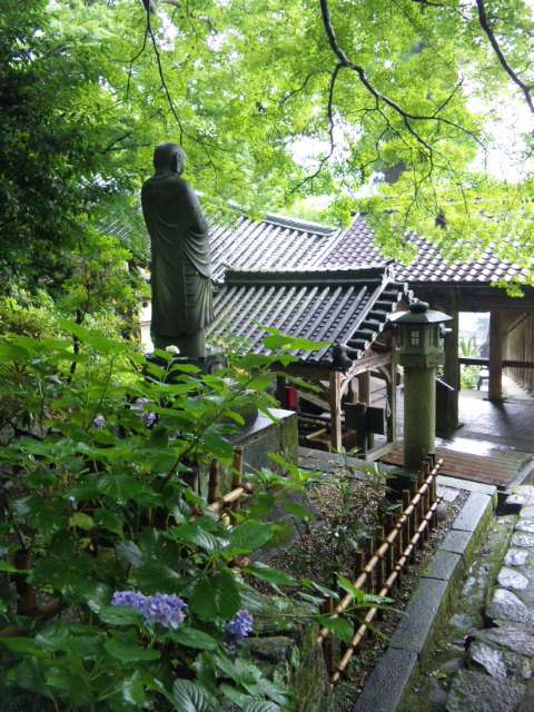 長谷寺の紫陽花_f0197985_14293598.jpg