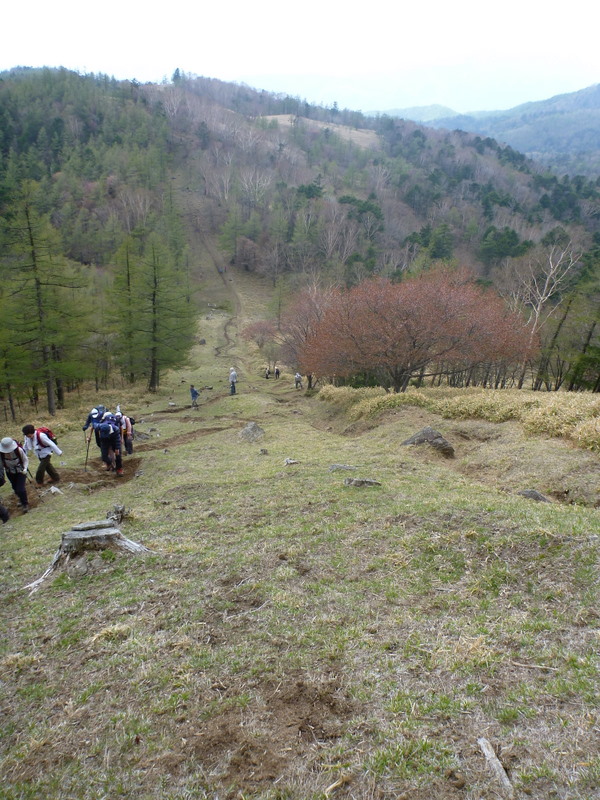 多摩川源流の山　笠取山　（6）　　笠取山山頂_e0195587_200425.jpg