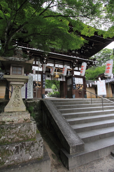 松尾大社_e0051888_22384929.jpg