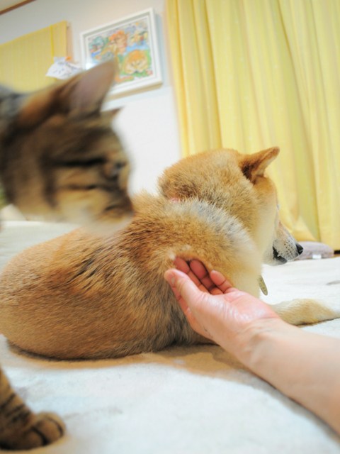 抜けてます!_a0126590_23153495.jpg