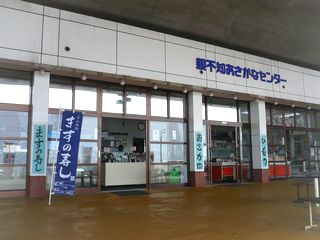 * 新物!親不知産の天然岩もずく販売中 *_d0235898_12234974.jpg