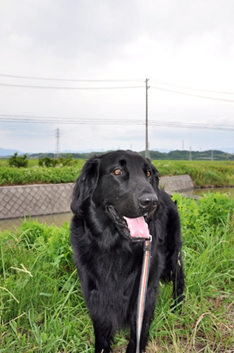 雨が止んだ合間に・・・_f0176499_14152712.jpg