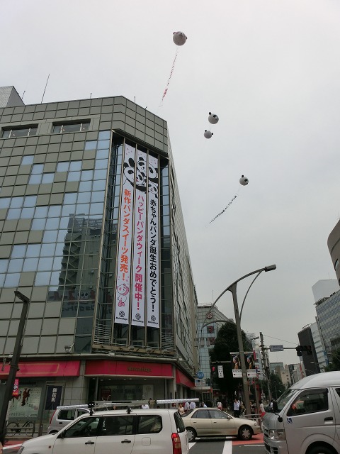 b0190603_1554555.jpg
