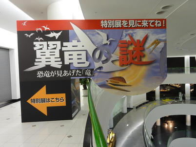 福井県恐竜博物館の特別展ついに開幕！！_f0229508_17251297.jpg